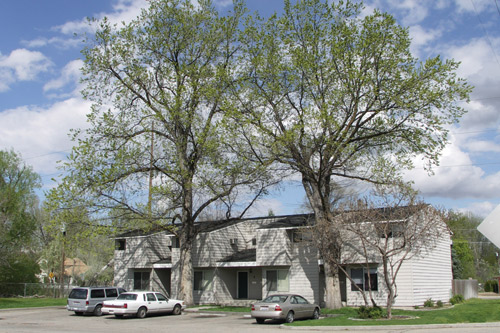 Grover Apartments